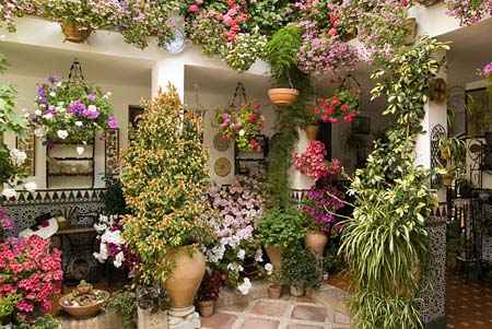 Patio in Cordoba