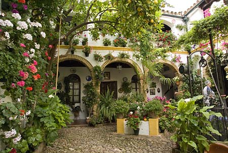 Patio in Cordoba