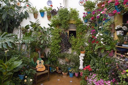 Patio in Cordoba