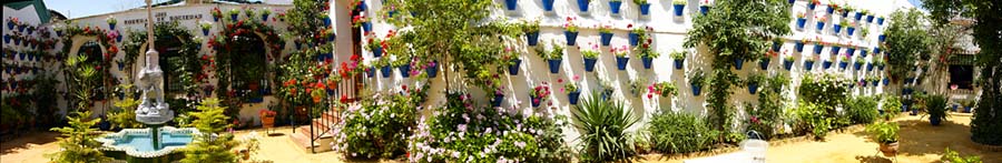 Patio in Cordoba