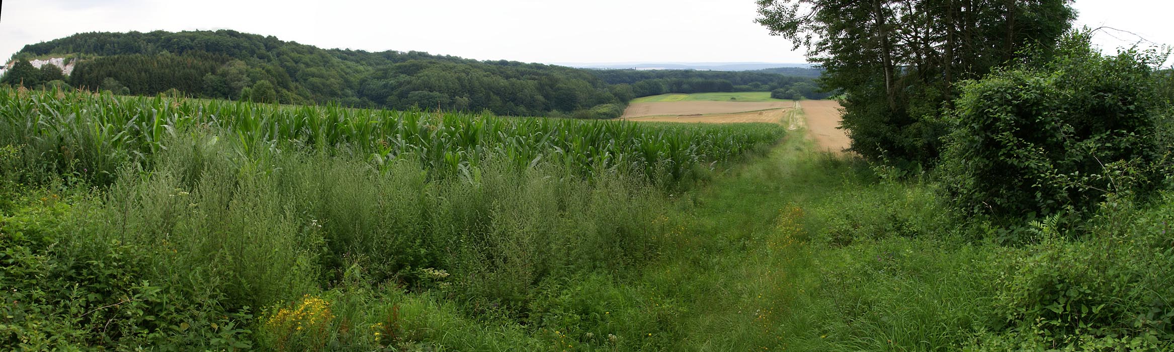 Zechsteingips en dolomieten ten zuidwesten van de Harz