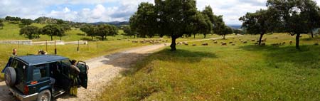 Onderweg naar Banos de la Encina