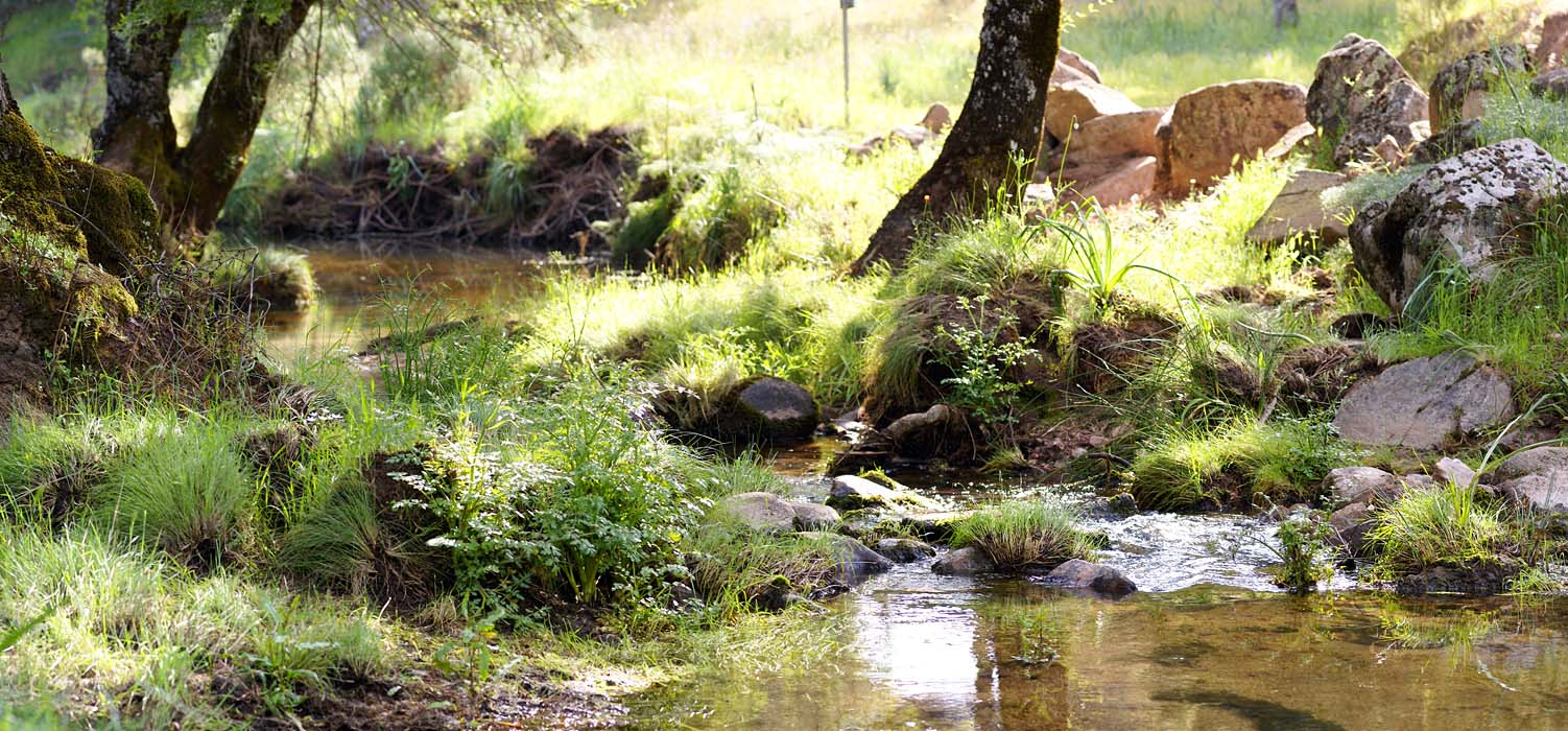 Bij Sendero Santuario Lugar Nuevo