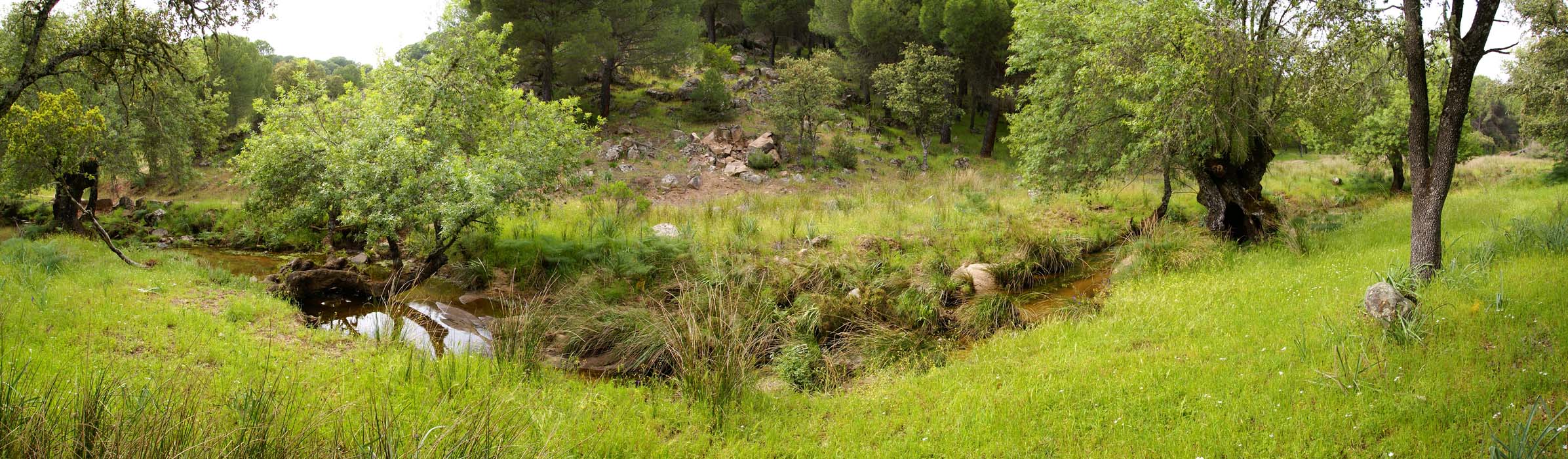 Bij Sendero Santuario Lugar Nuevo