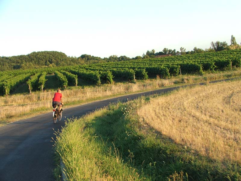 zomer20060083