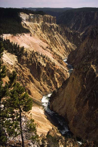 Grand Canyon of Yellowstone