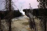 Geijser Yellowstone park