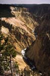 Grand Canyon of Yellowstone